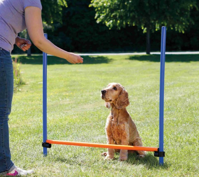 TRIXIE AGILITY překážka, 3 tyče 129x115cm