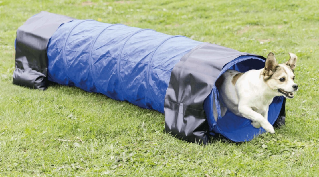 TRIXIE Agility tunel - malý pes, štěně, 40cm/2m - modrý
