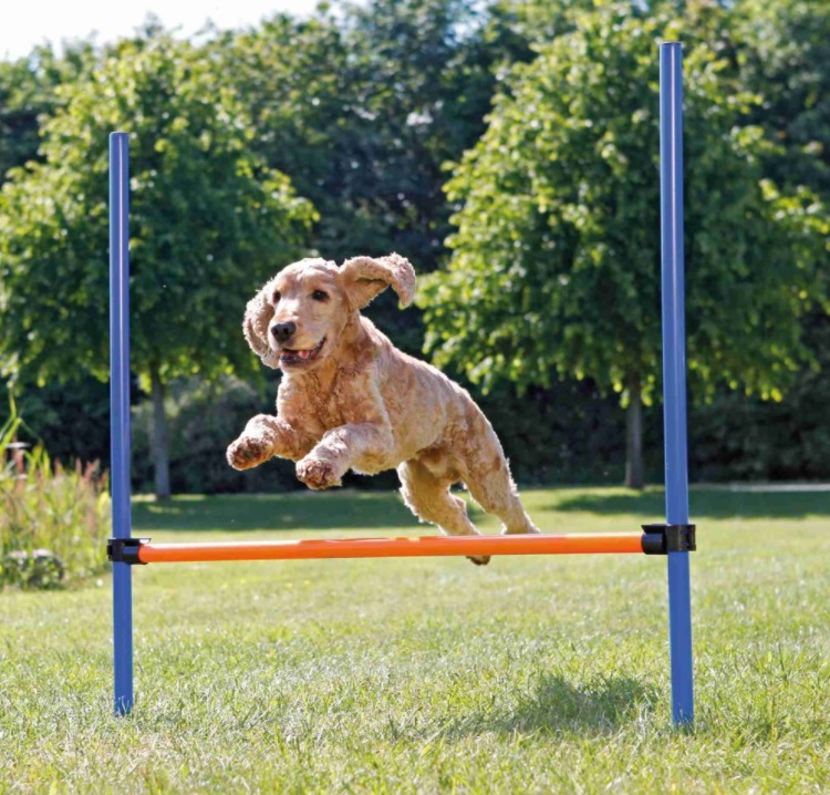 TRIXIE AGILITY překážka, 3 tyče 129x115cm