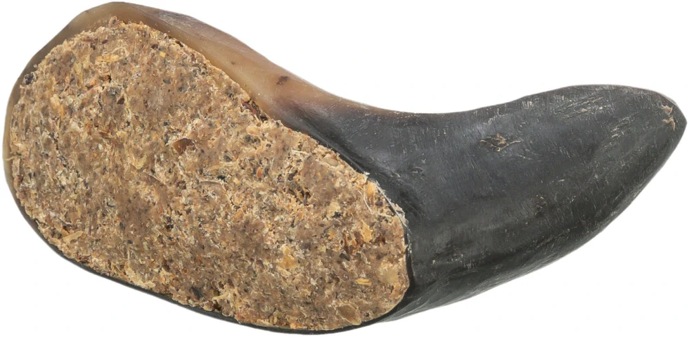 TRIXIE Buffalo Horn, buvolí roh plněný buvolím penisem a šlachou,  10-14 cm