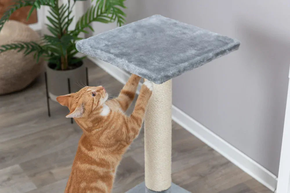 TRIXIE Škrabací sloupek BEANA s odpočívadlem, 9 cm / 69 cm, sisal/plyš, šedá