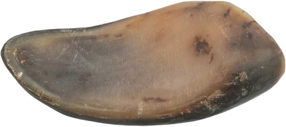 TRIXIE Buffalo Horn, buvolí roh plněný buvolím penisem a šlachou,  10-14 cm