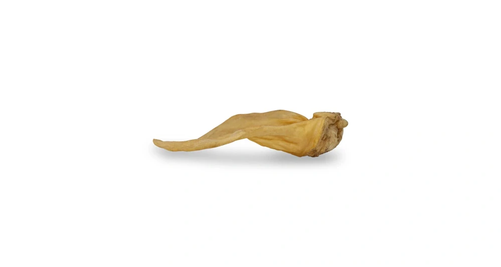 KIDDOG 100% Natural Snack, hovězí ucho přírodní 5 ks / 250 g