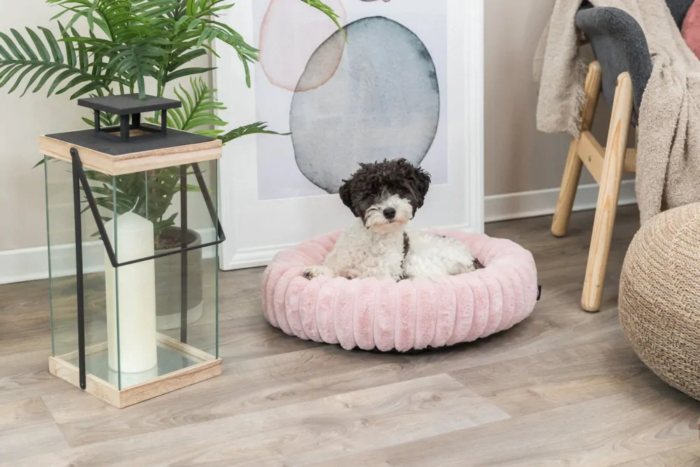 TRIXIE Kulatý pelech LONNI, sametový manšestr, růžová ø 60 cm
