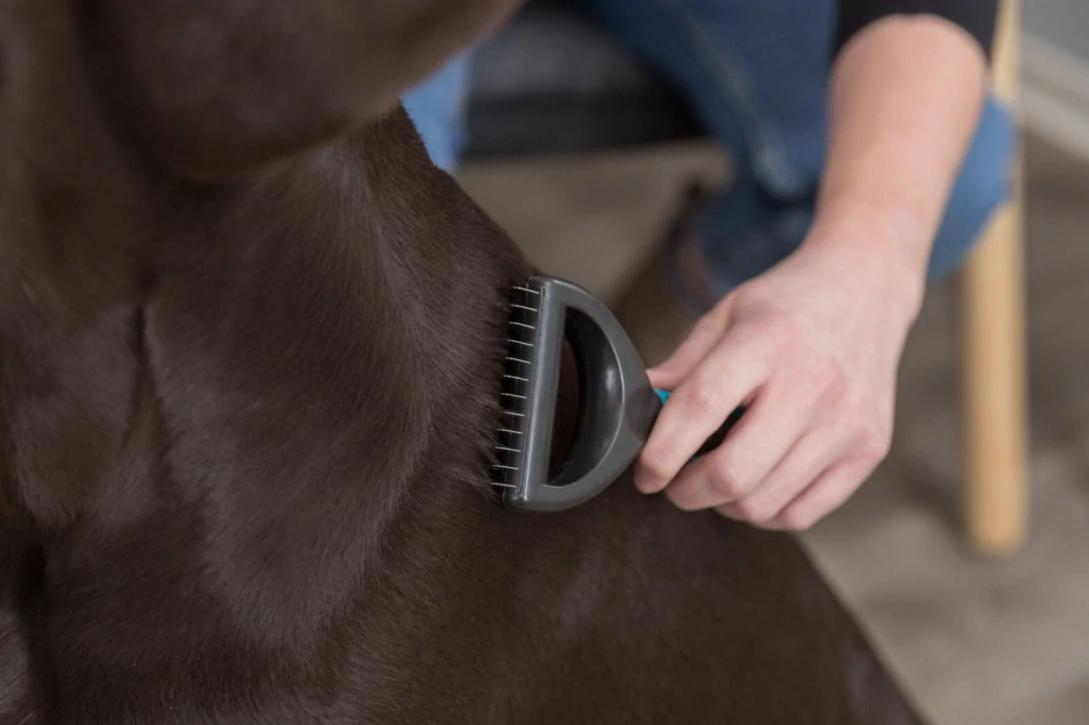 TRIXIE Univerzální prořezávač malý pro psy a kočky 5 x 18 cm