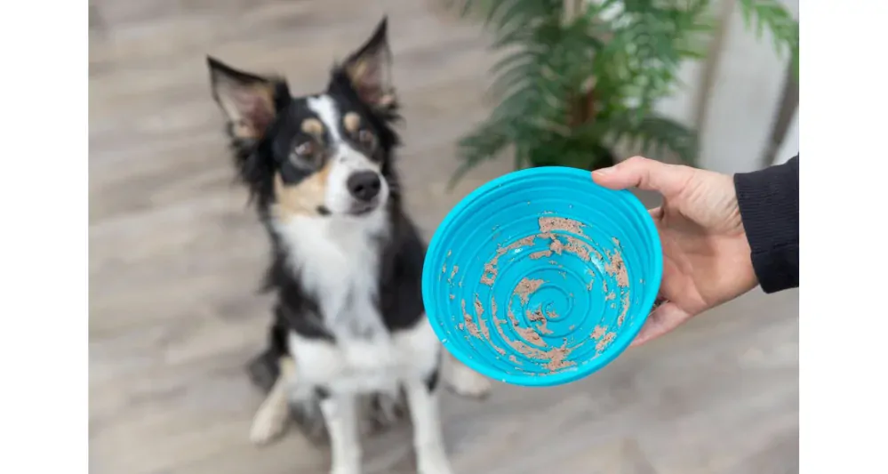 TRIXIE Lick’n'Snack miska k pomalému krmení 16 cm, silikon, petrolejová