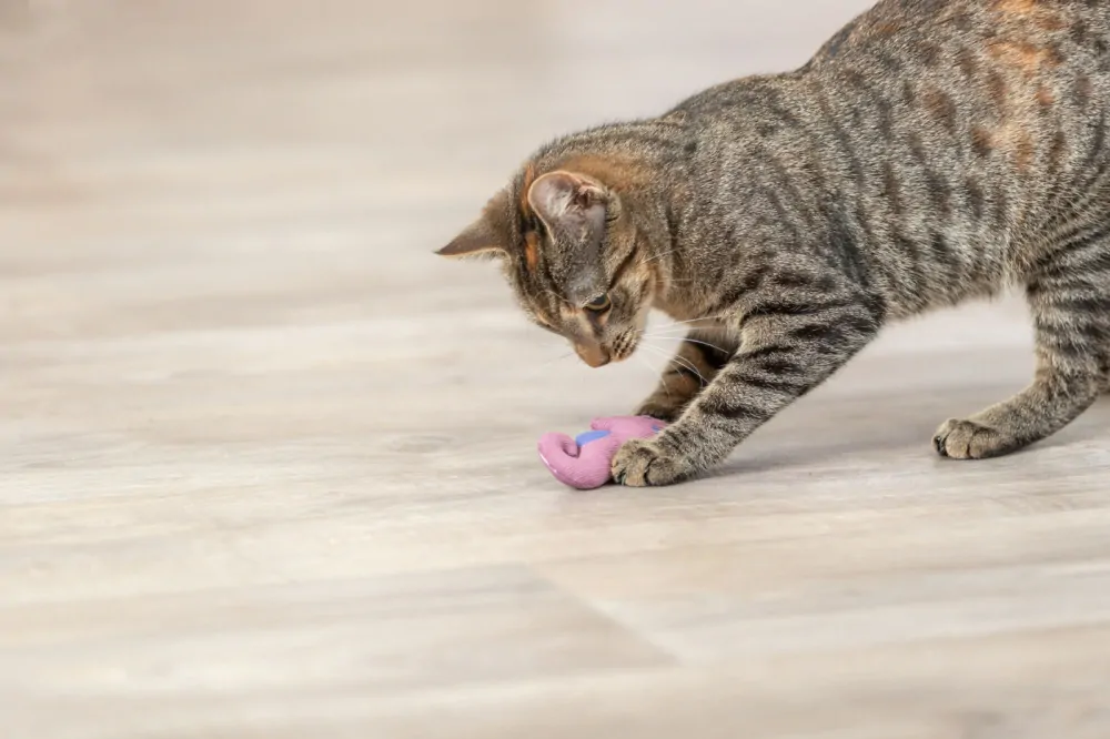 TRIXIE Mořský koník s catnipem 11 cm, plyš, mix barev