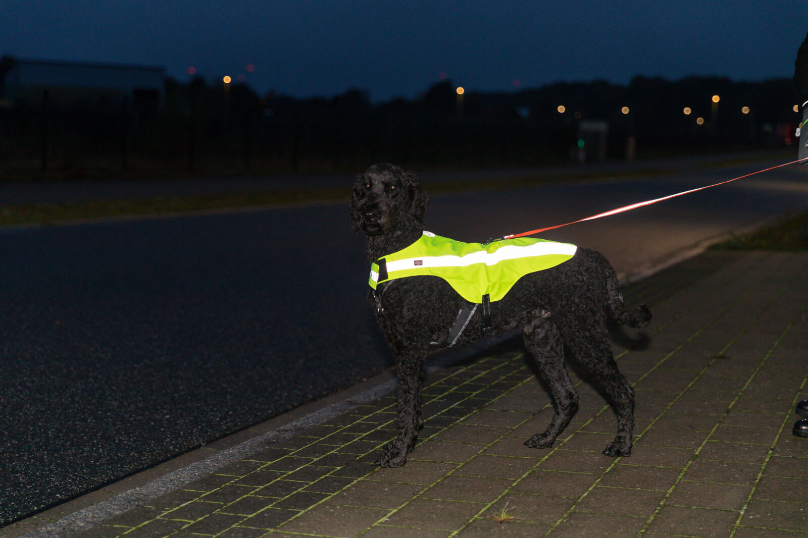 TRIXIE Bezpečnostní vesta, reflexní, neon žlutá S-40cm,hruď:48-72cm
