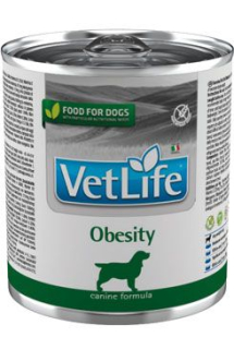 Vet Life Natural DOG konz. Obesity 300g