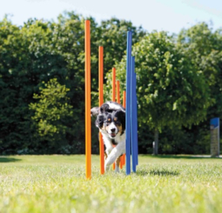 TRIXIE AGILITY Slalom, tyče 12ks