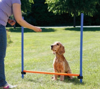 TRIXIE AGILITY překážka, 3 tyče 129x115cm