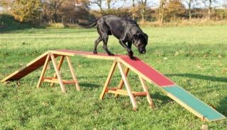 TRIXIE Dog Activity AGILITY nácviková lávka 456x64x30 cm