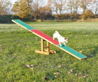TRIXIE AGILITY houpačka/lávka 300x54x34cm max.do 80kg